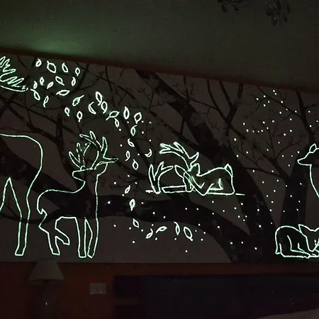 La Casa D'artista 住宿加早餐酒店 *
